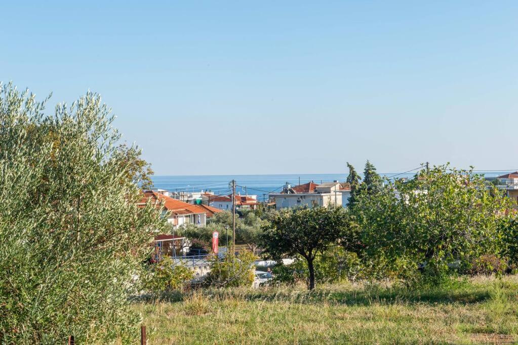 Όμορφο Παραθασυγκρότημα Ενοικιαζόμενων Καταλυμάτων Ως Ολόκληρος Χώρος - Chrani, Ελλάδαλάσσιο Διαμέρισμα Eksteriør billede
